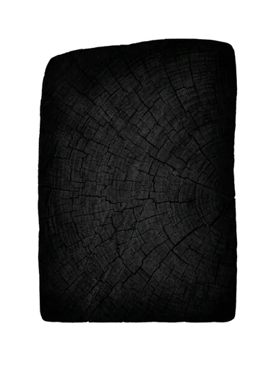 Charred Wood Cross Section Isolated On White Background
