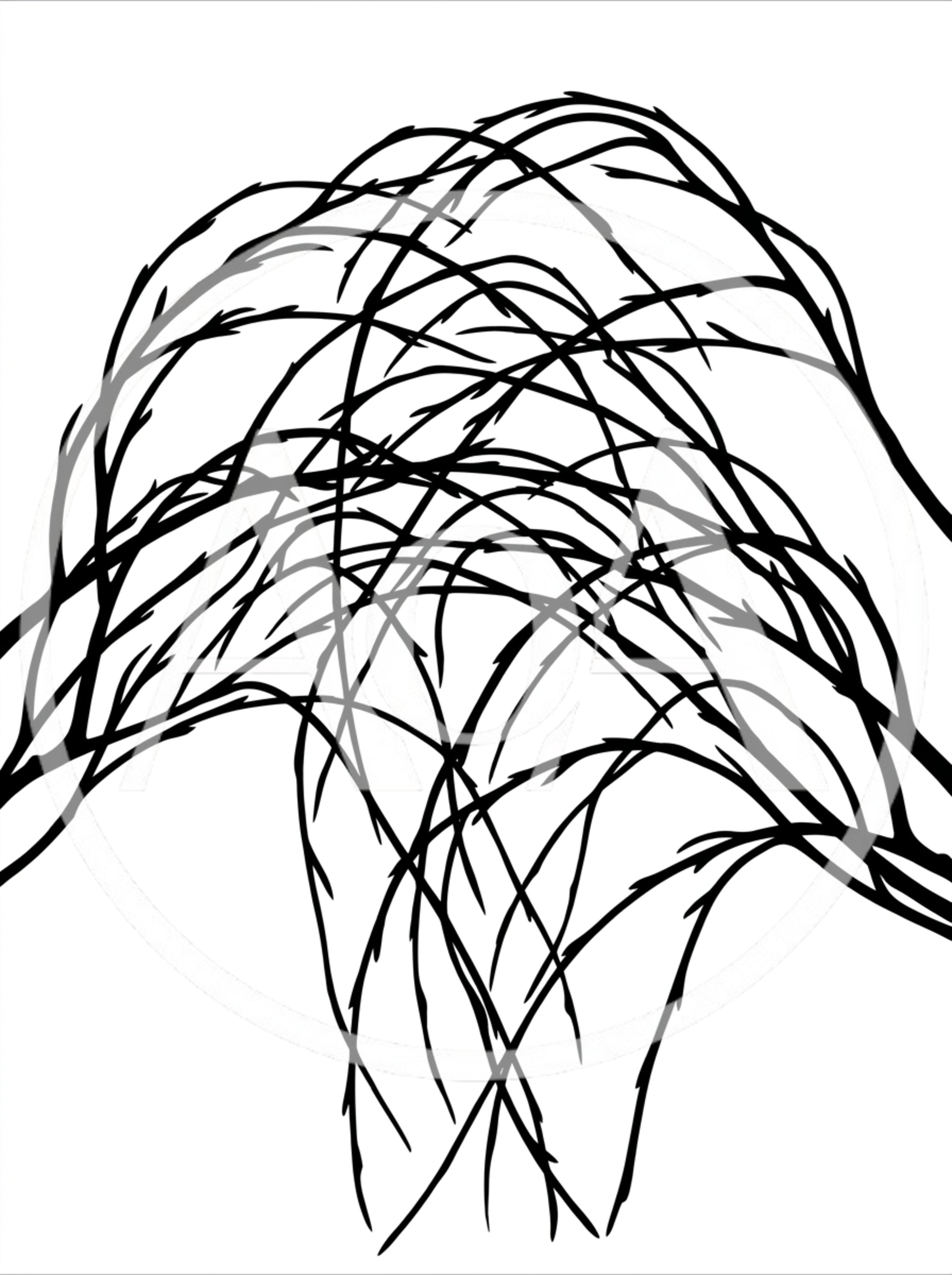 Abstract Black And White Line Art Illustration