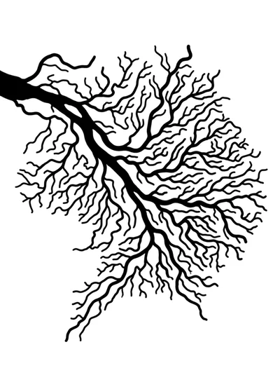 Black And White Tree Branch Silhouette Illustration