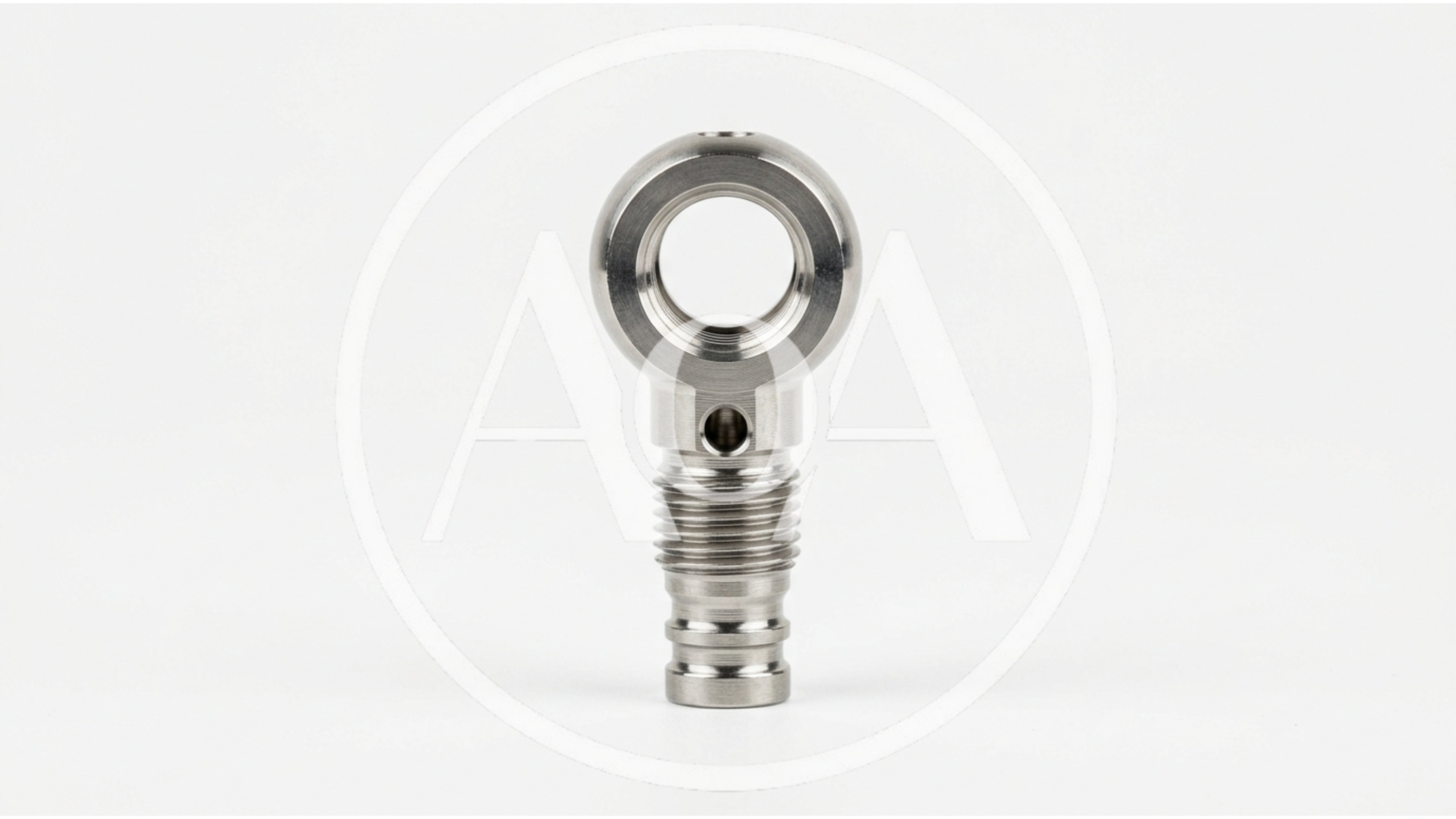 Stainless Steel Banjo Bolt Fitting