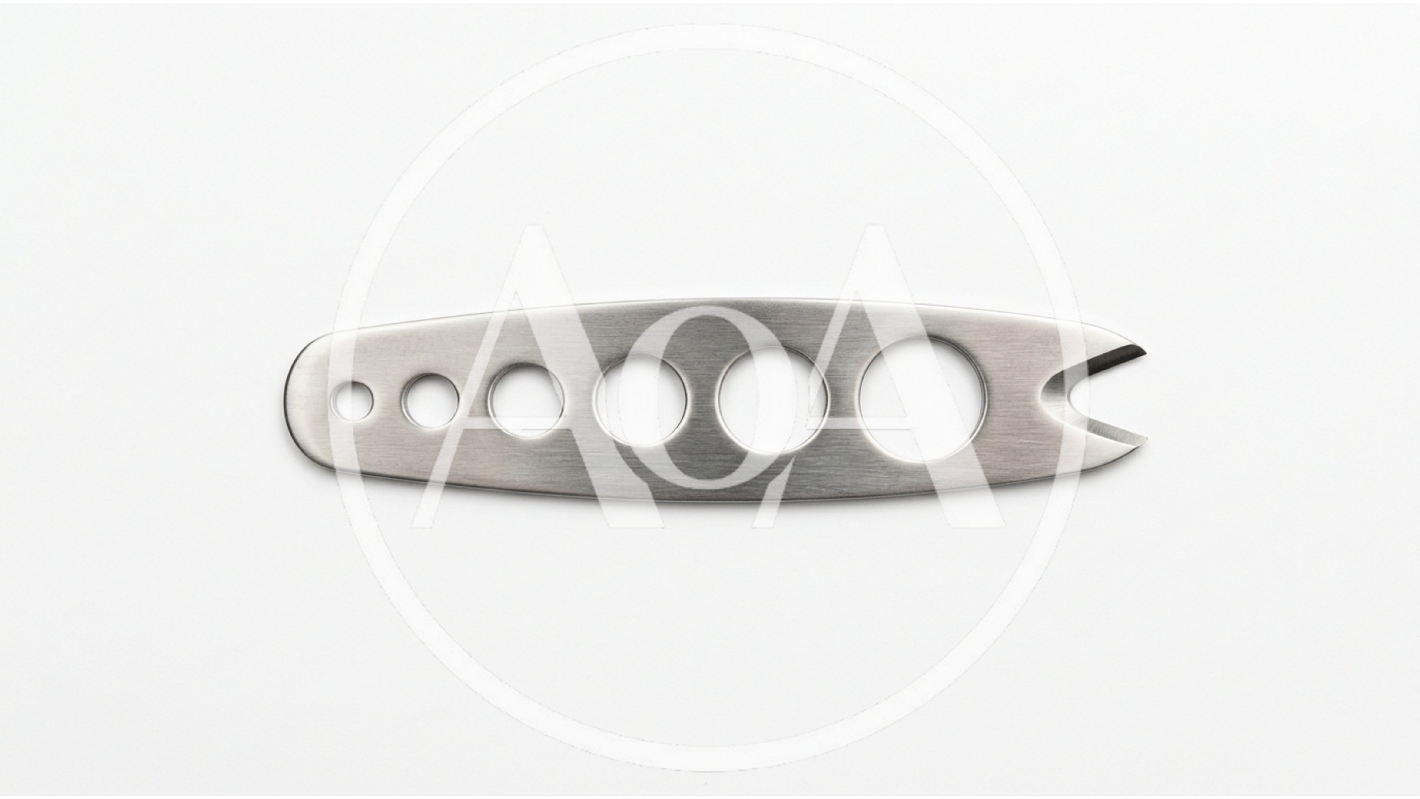 Stainless Steel Herb Stripper Tool