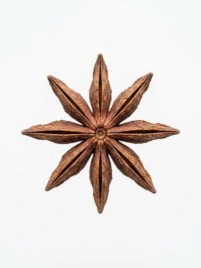 Single Star Anise Spice Pod Isolated On White