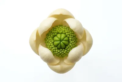 Macro View Of A Unique White And Green Flower