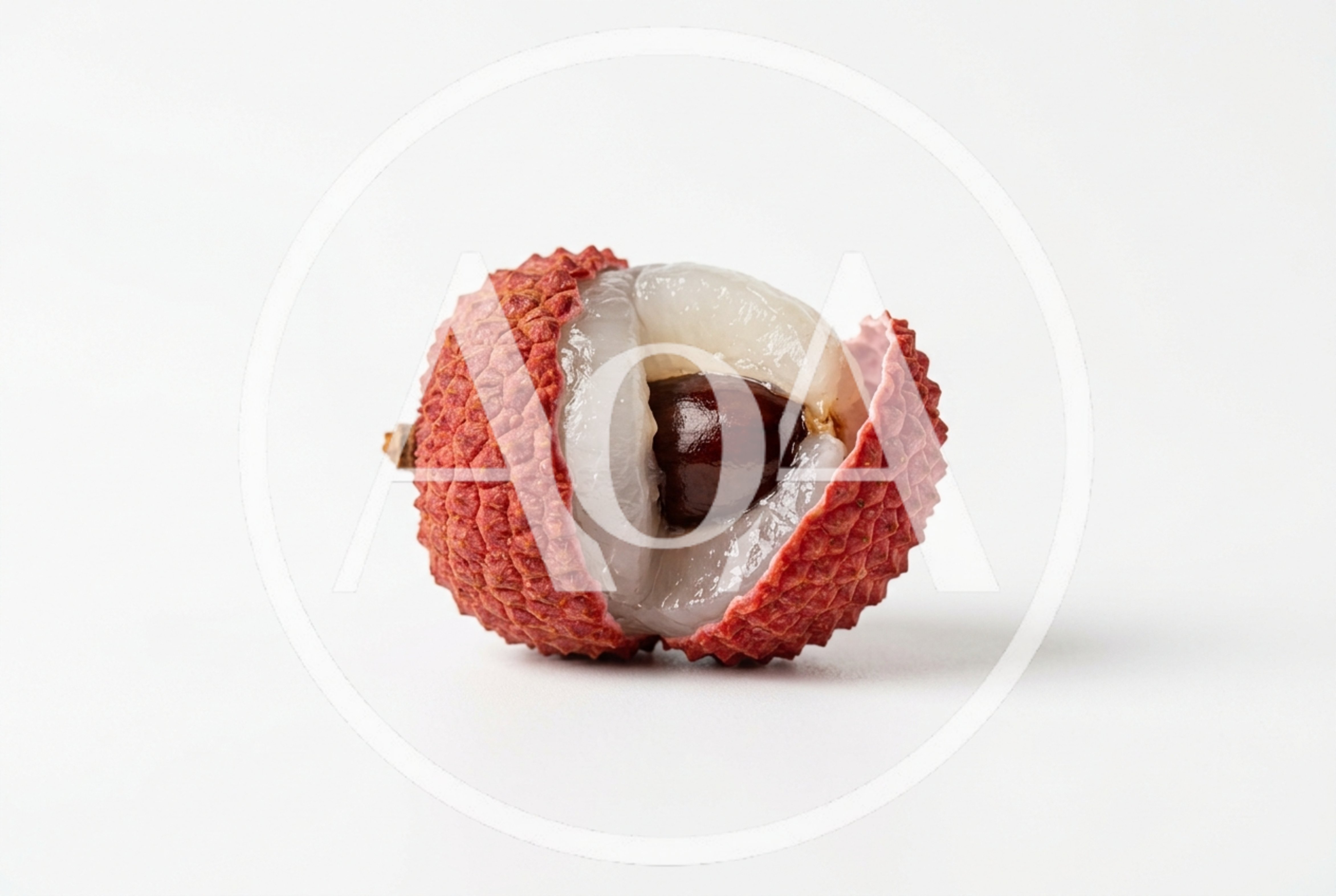 Single Peeled Lychee Fruit on White Background