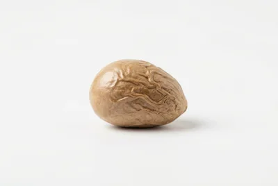 Single Whole Nutmeg Seed Isolated On White Background