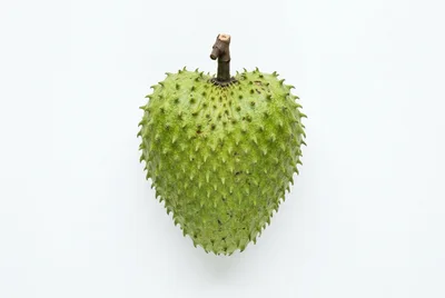 Single Fresh Green Soursop Fruit On White Background