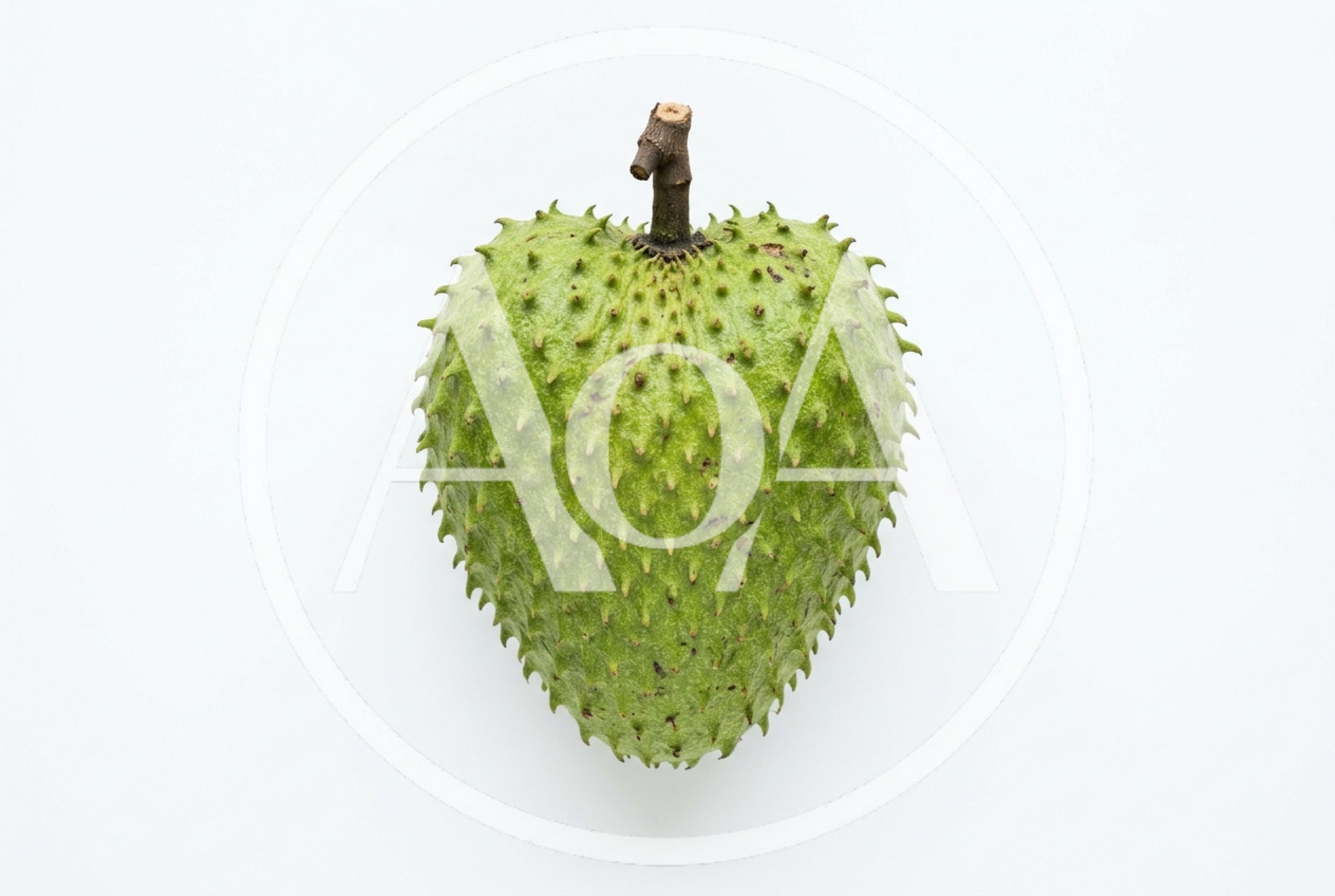 Single Fresh Green Soursop Fruit On White Background