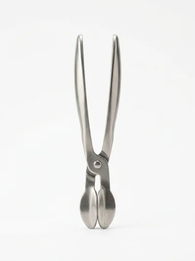 Stainless Steel Sugar Tongs On White Background