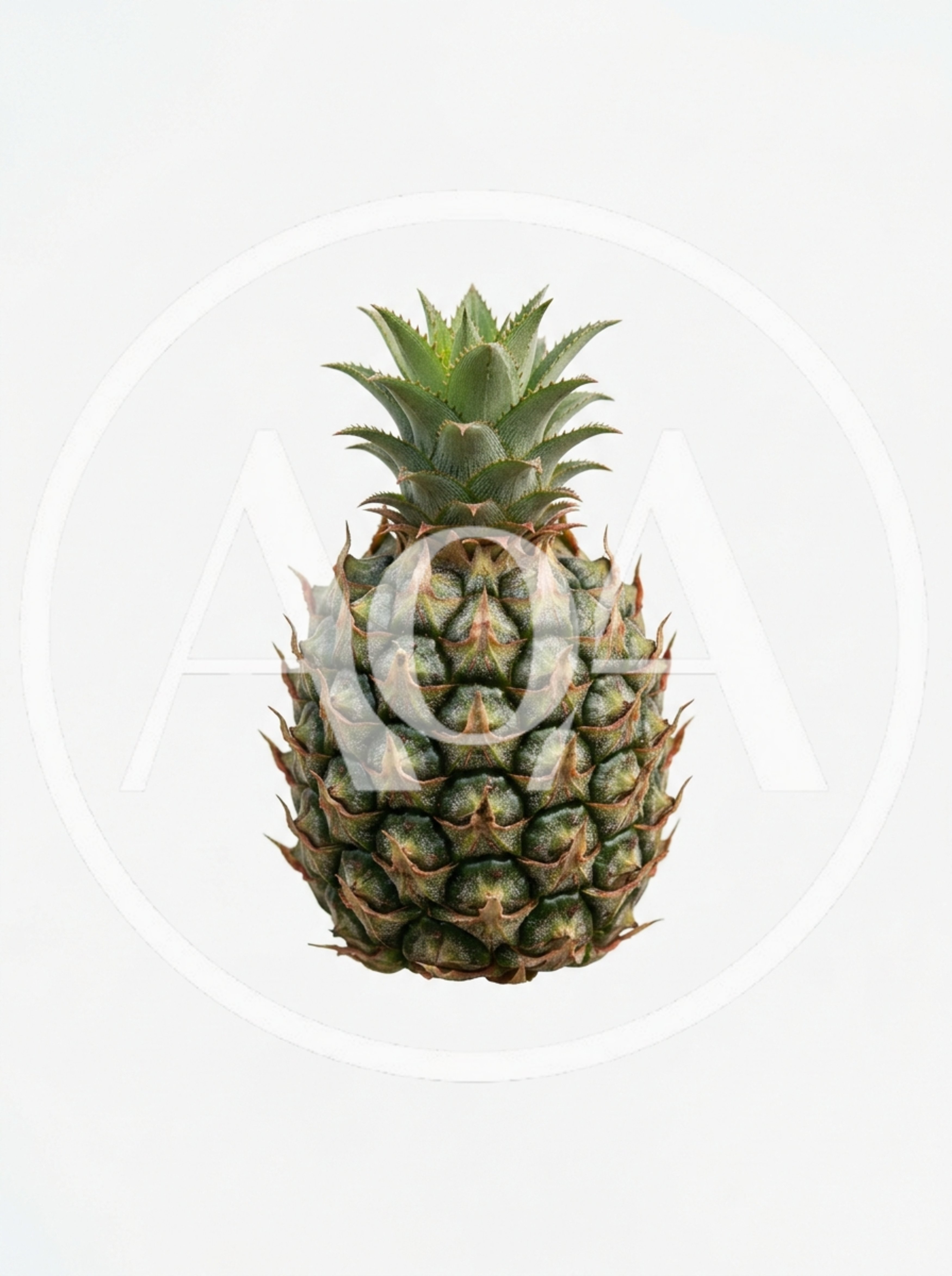 Fresh Whole Pineapple Isolated On White Background