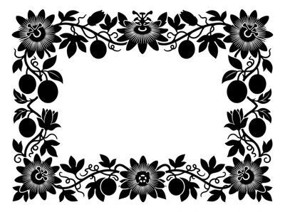 Black And White Passion Flower Floral Border Frame