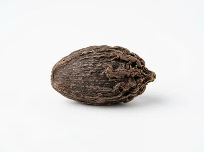 Single Dried Black Cardamom Pod On White Background
