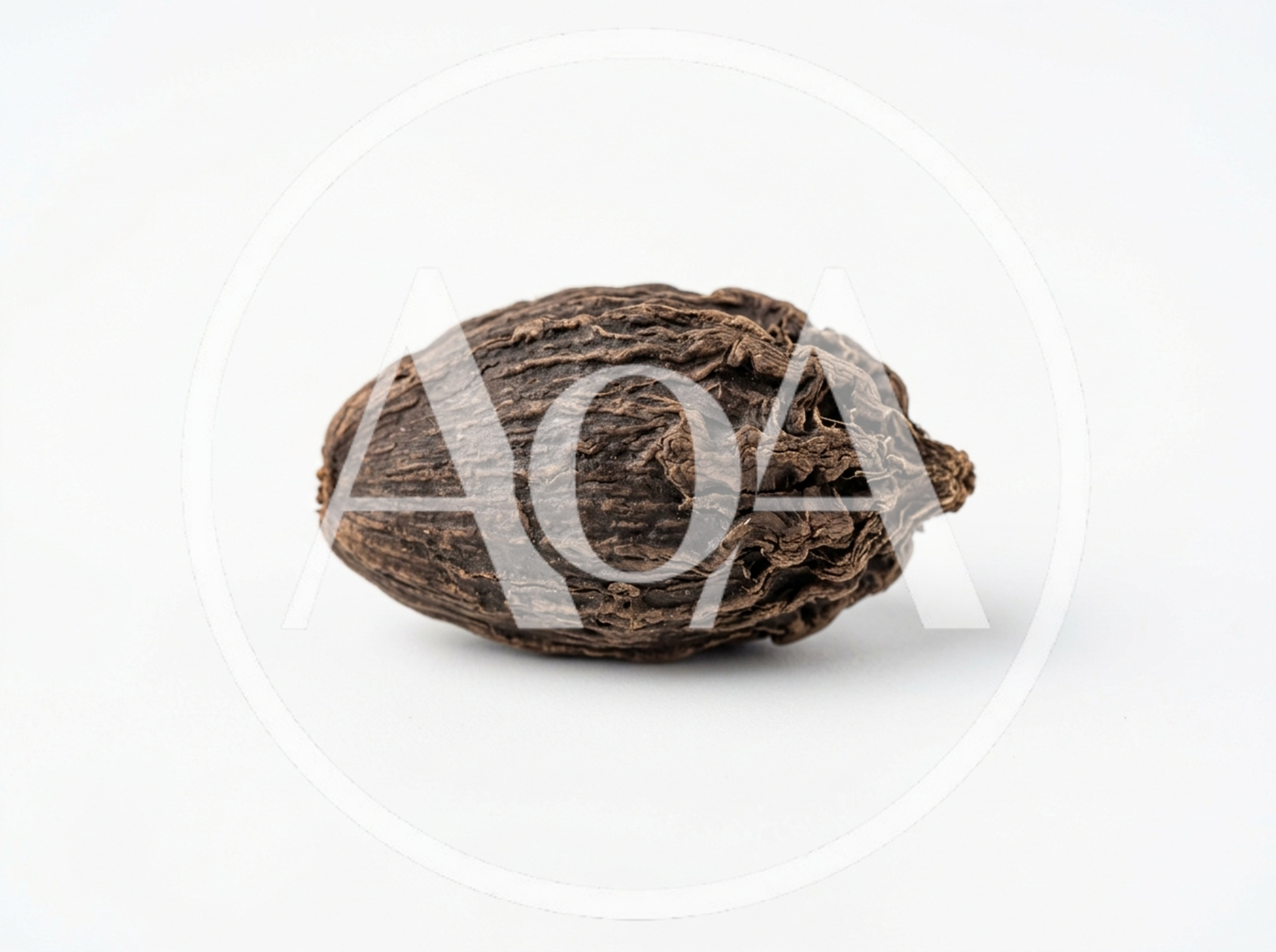 Single Dried Black Cardamom Pod On White Background