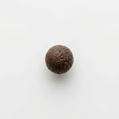 Single Dried Brown Peppercorn Isolated On White Background