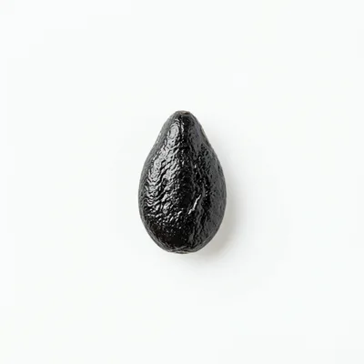 Single Dark Avocado Pit Isolated On White Background