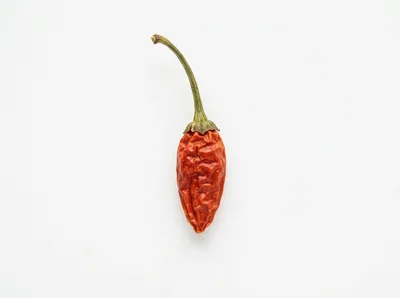Single Dried Red Chili Pepper