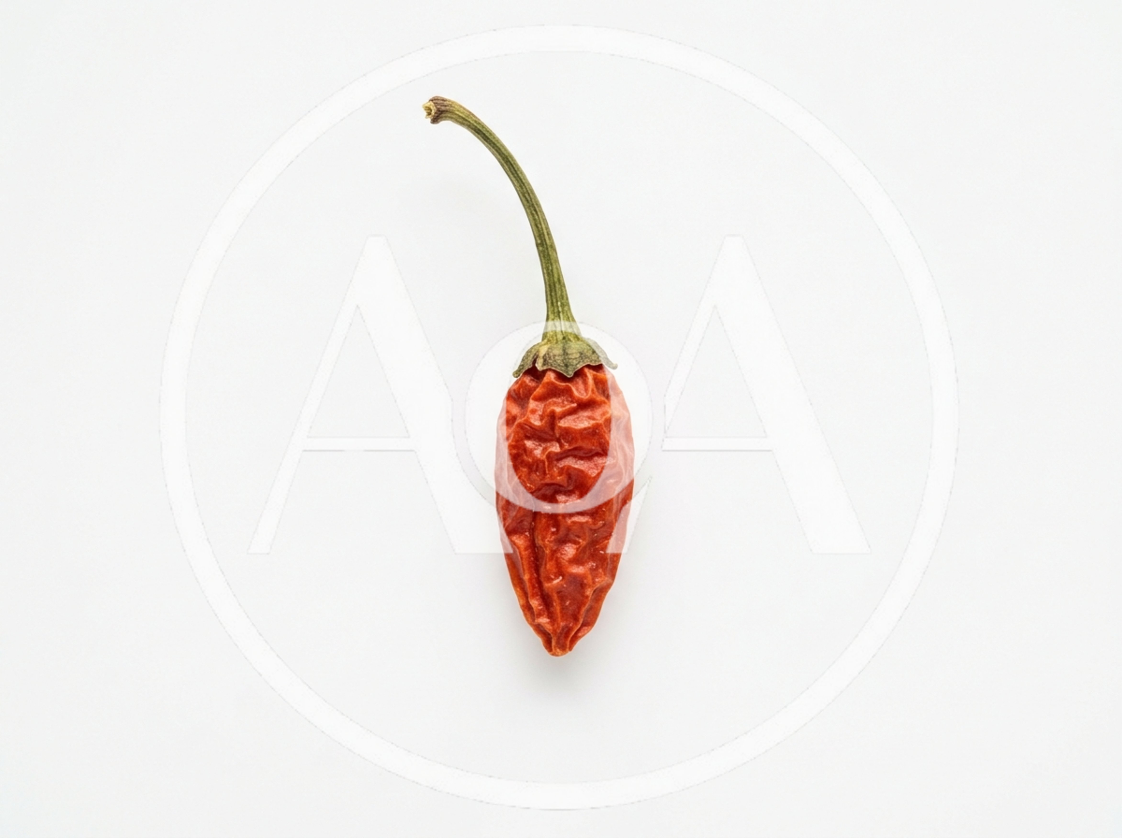 Single Dried Red Chili Pepper