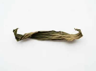 Dried Green Leaf Isolated On White Background