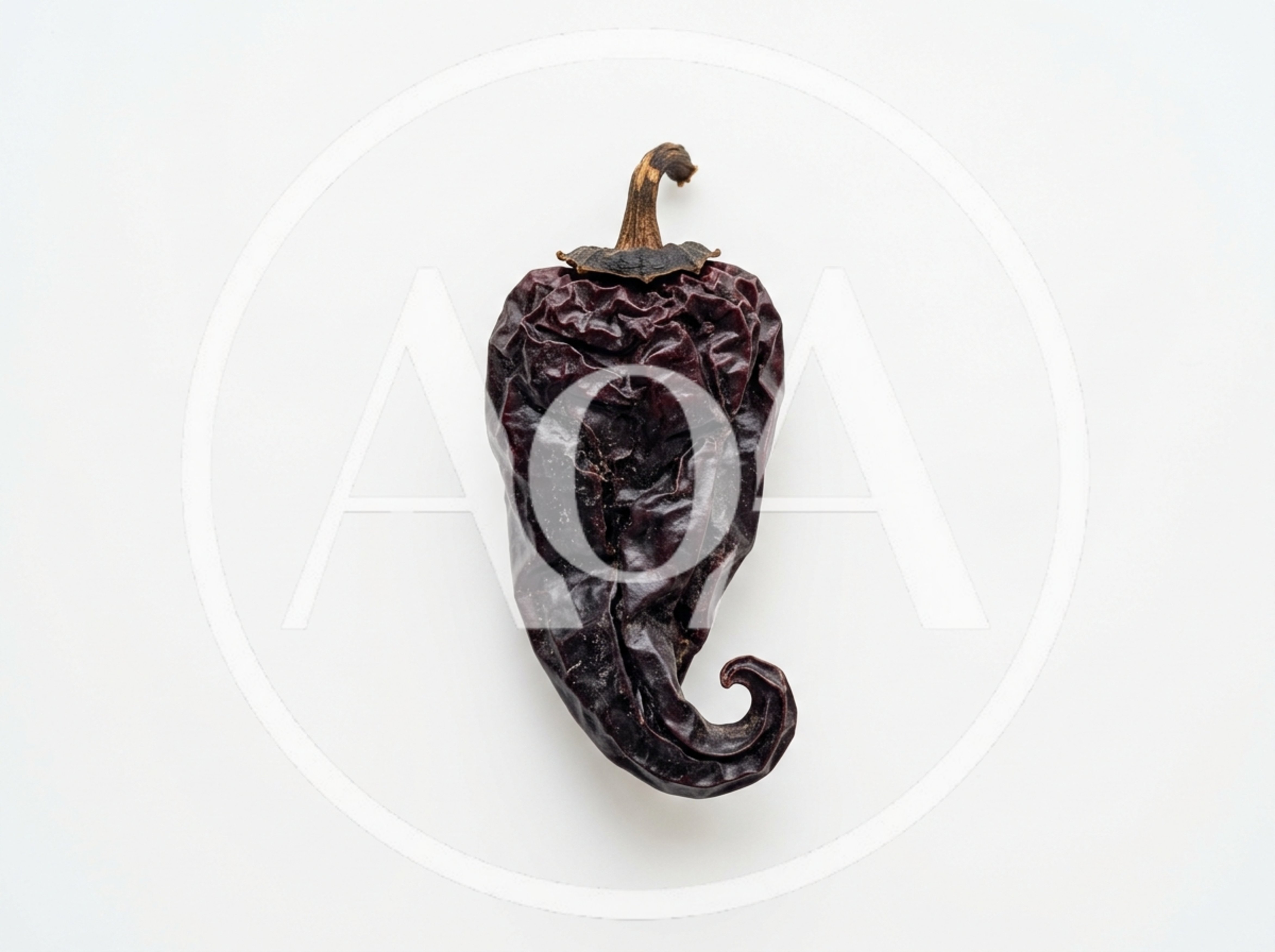 Single Dried Ancho Chili Pepper on White Background