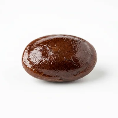 Single Roasted Coffee Bean Isolated On White Background