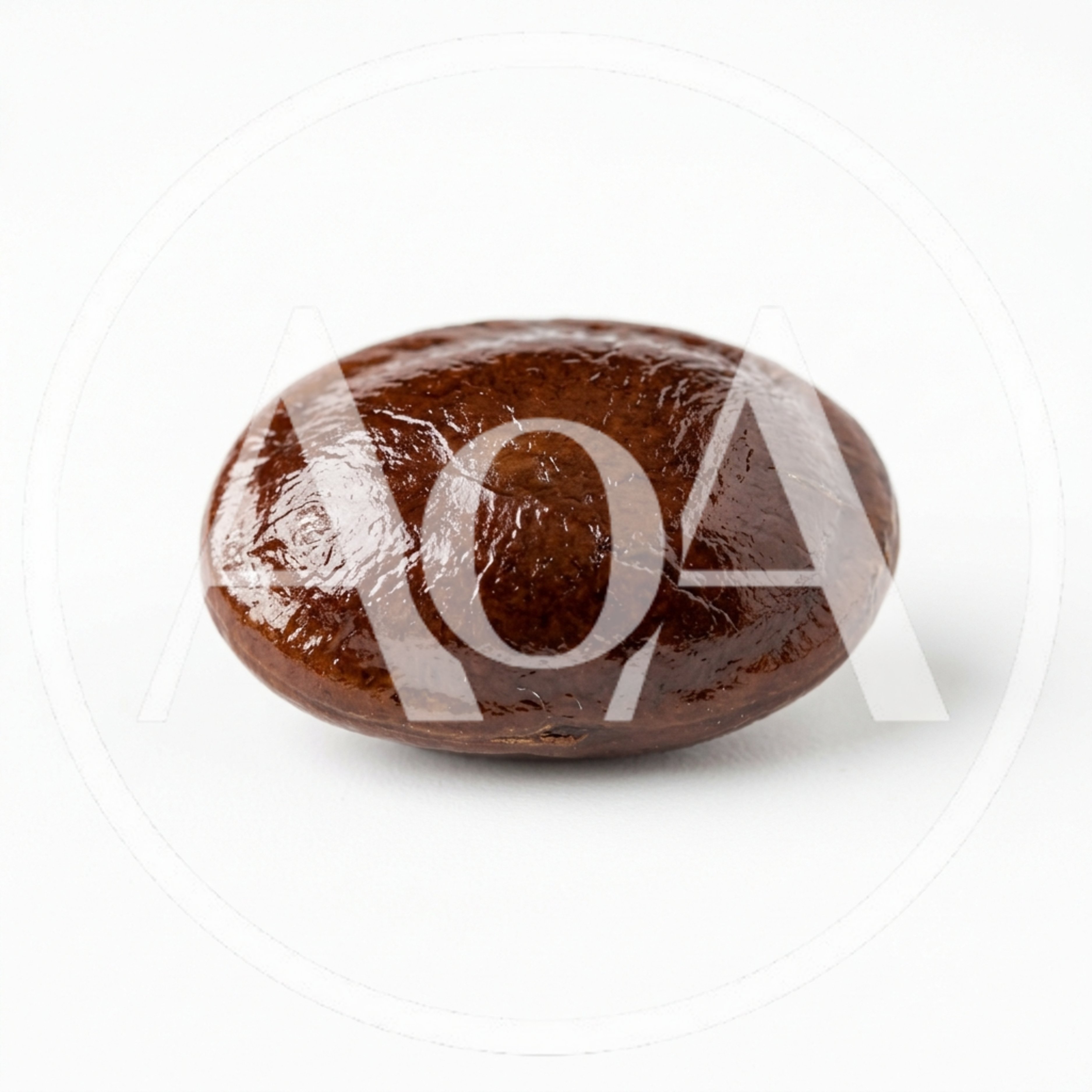 Single Roasted Coffee Bean Isolated On White Background