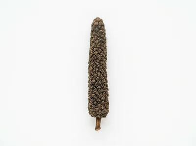 Dried Long Pepper Spice Isolated on White Background