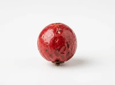 Single Dried Pink Peppercorn Berry Isolated On White