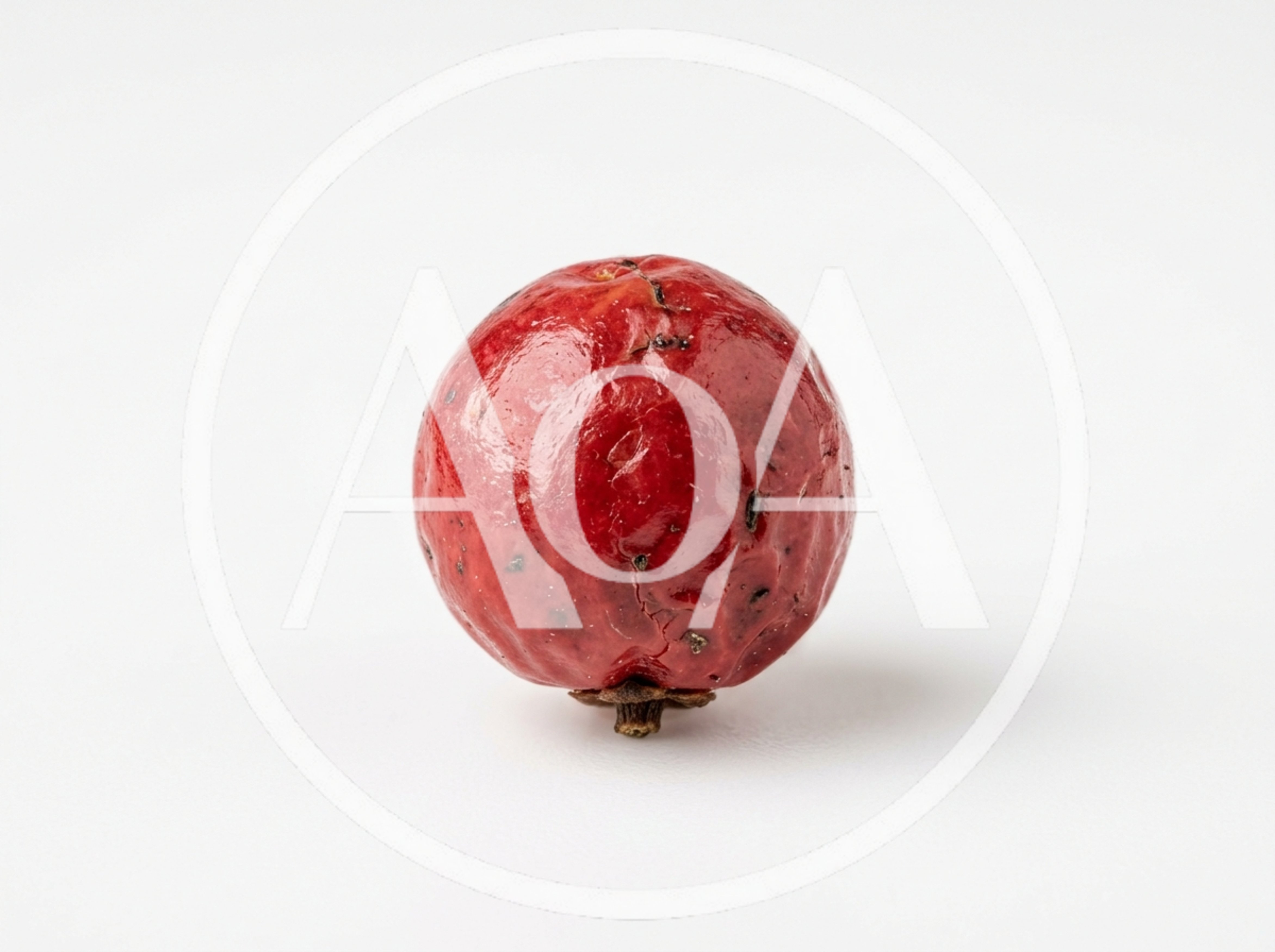 Single Dried Pink Peppercorn Berry Isolated On White