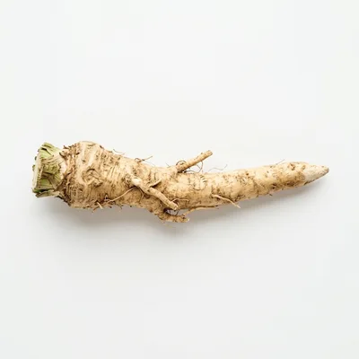 Single Raw Horseradish Root Isolated On White Background