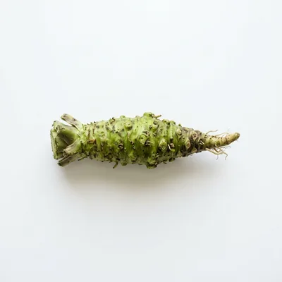Fresh Wasabi Root Isolated On White Background
