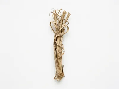 Dried Raffia Fiber Bundle On White Background