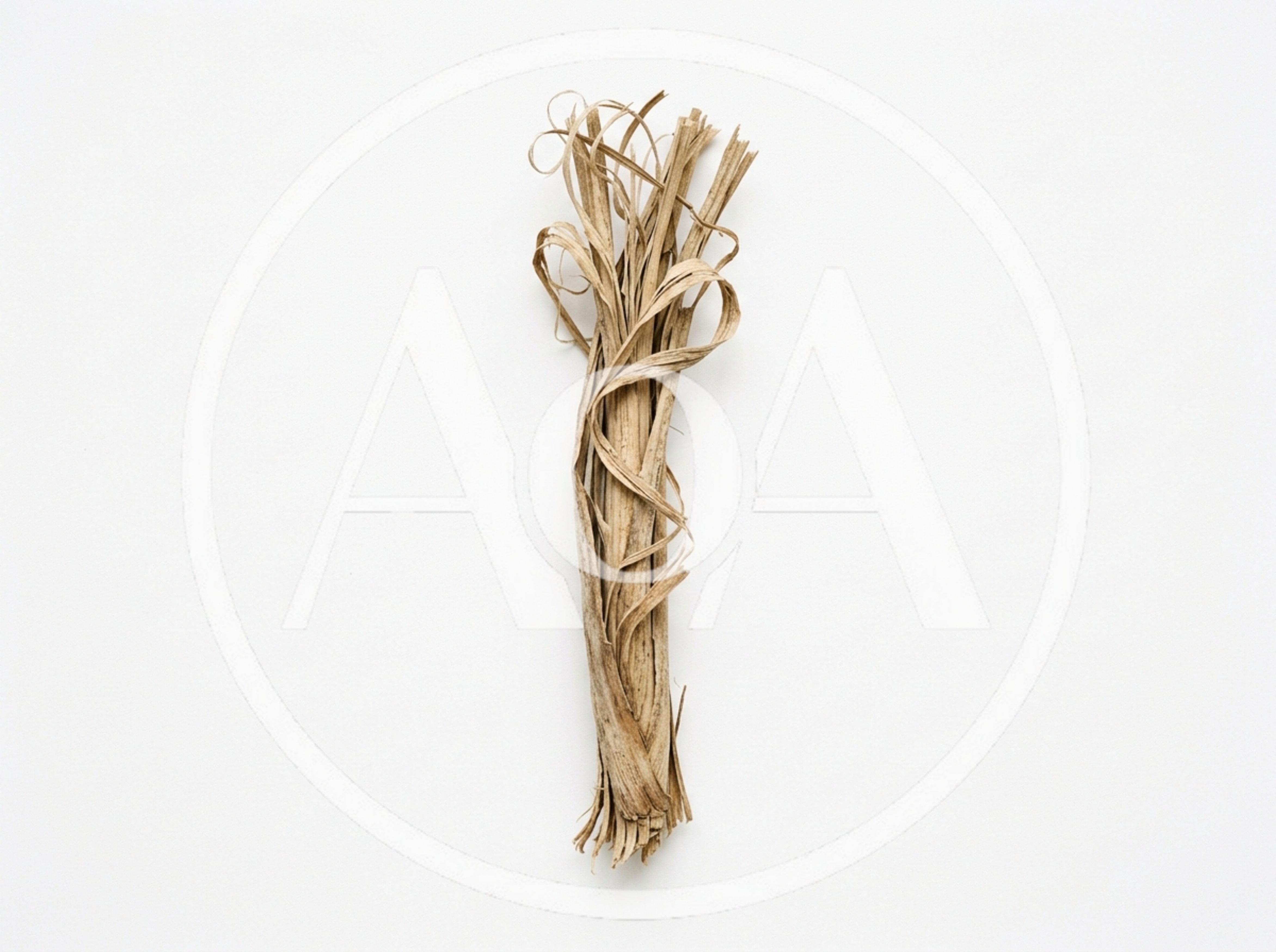 Dried Raffia Fiber Bundle On White Background