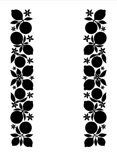 Black And White Citrus Fruit And Flower Border Pattern