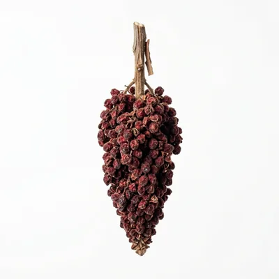 Dried Sumac Berries Cluster on Stem