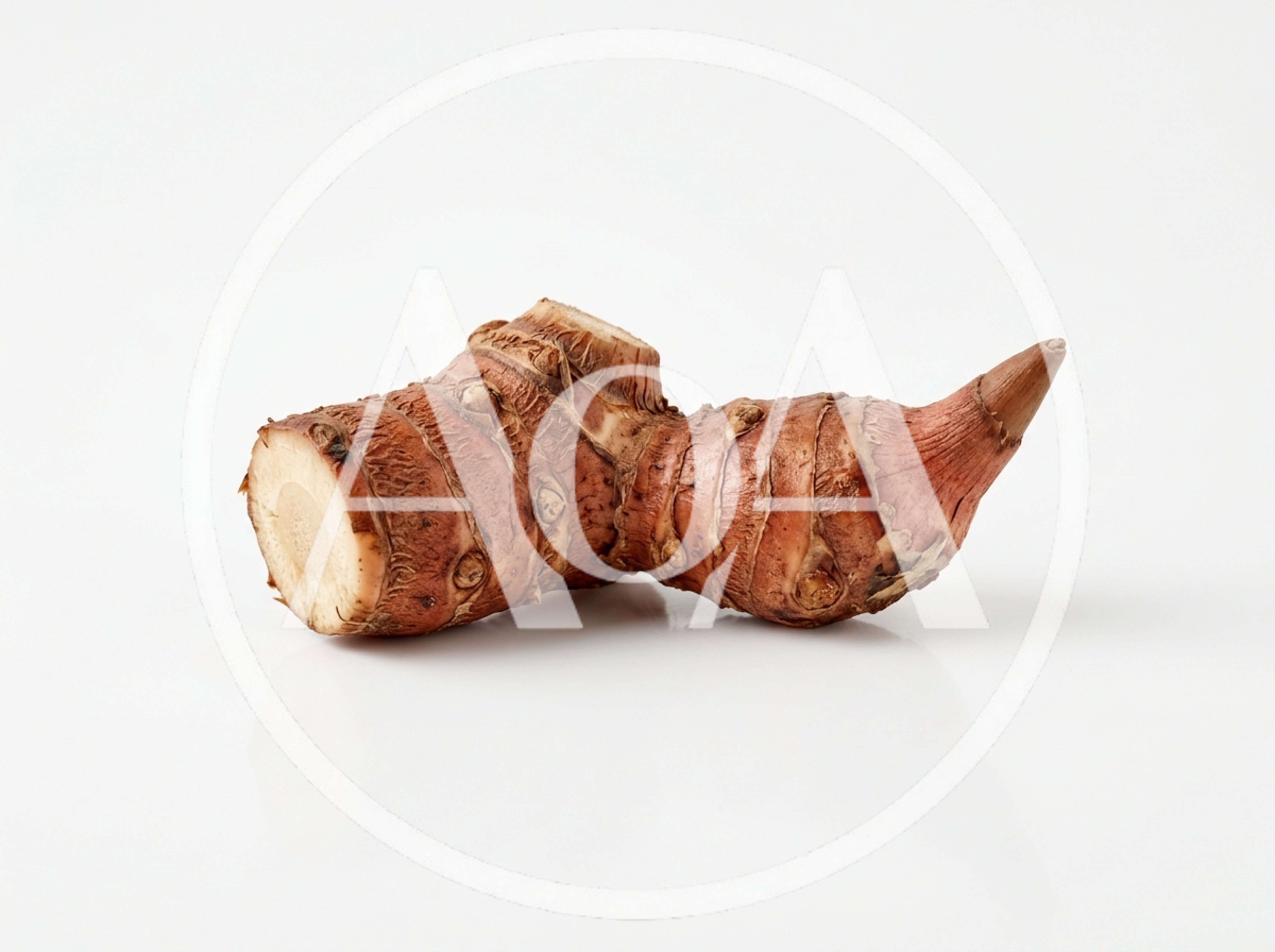 Fresh Galangal Root Isolated On White Background