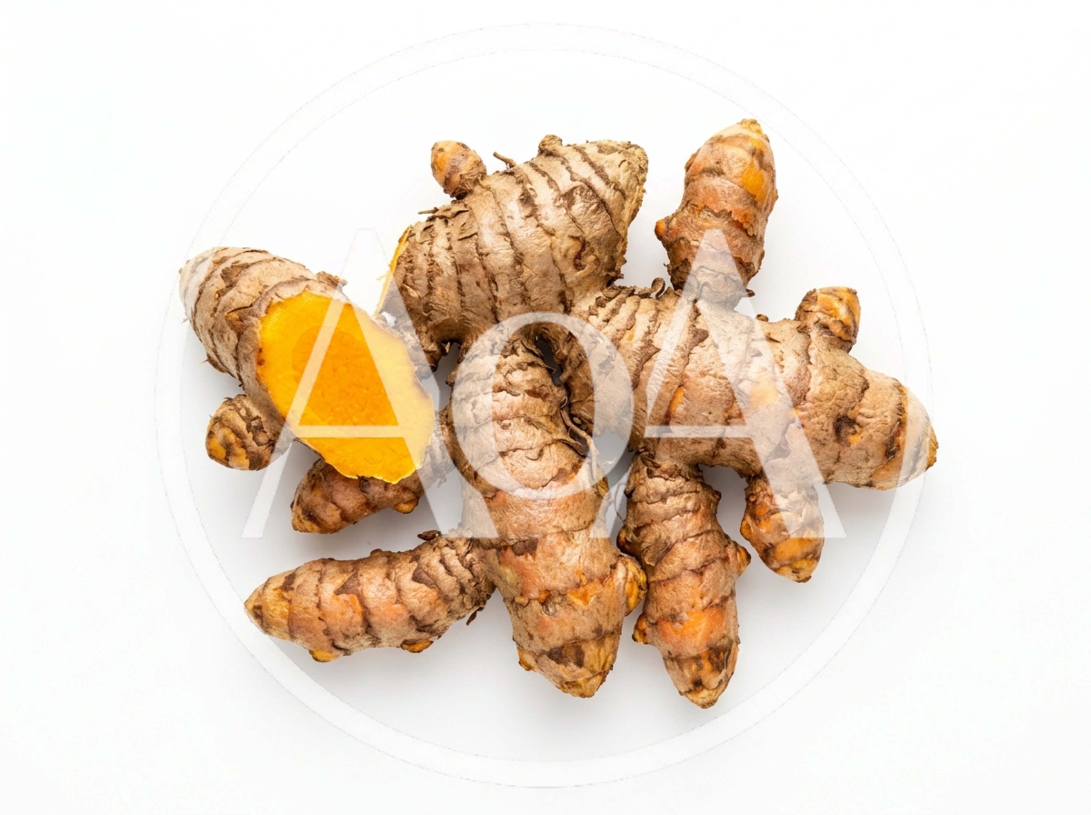Fresh Turmeric Rhizomes On White Background