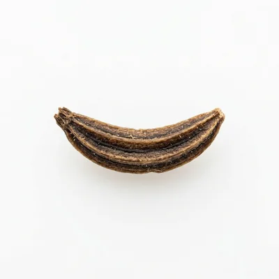 Single Dried Cumin Seed Macro Shot