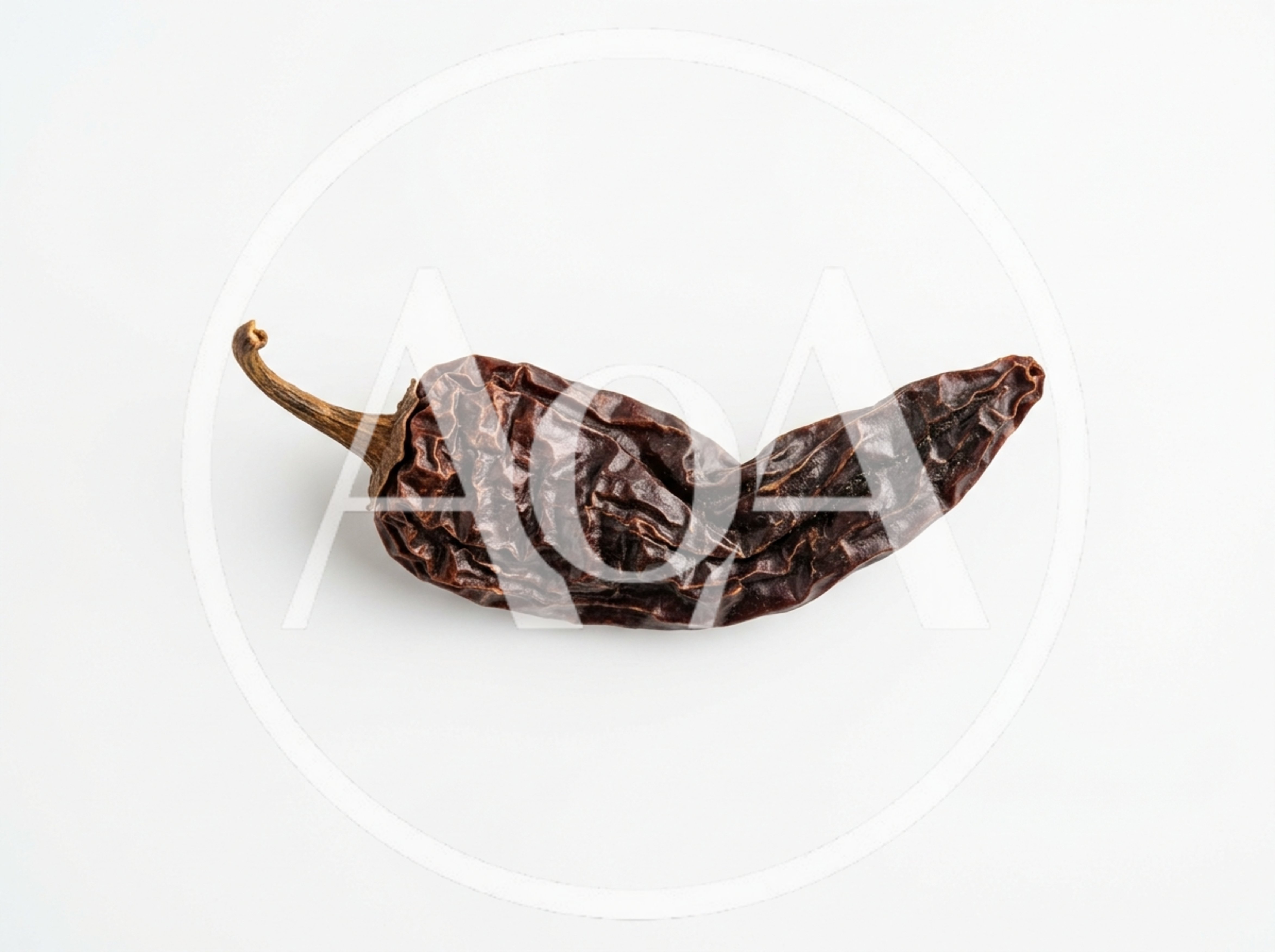 Single Dried Chipotle Chili Pepper on White Background