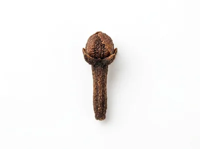 Single Dried Clove Spice Isolated On White Background
