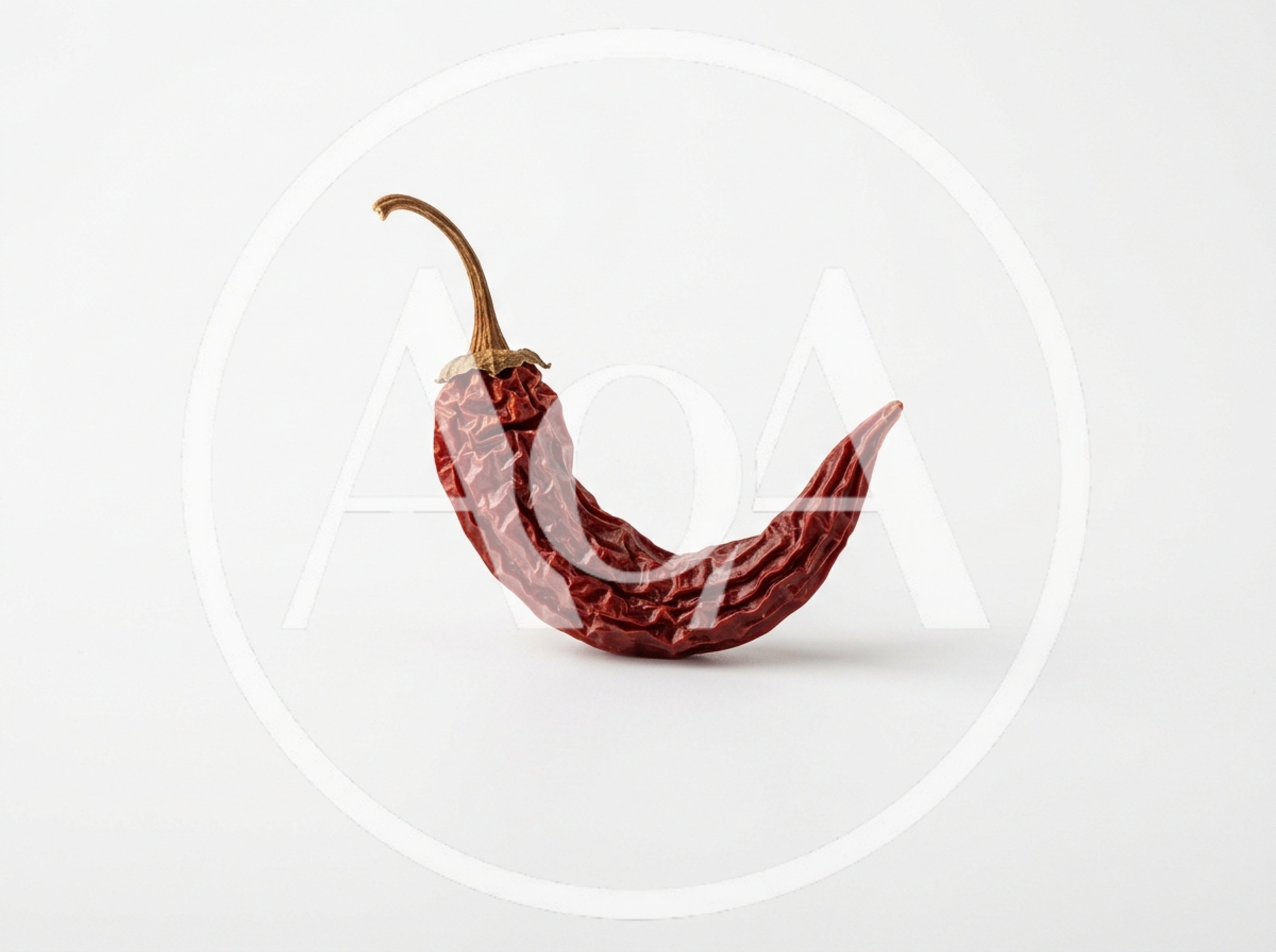 Single Dried Red Chili Pepper on White Background