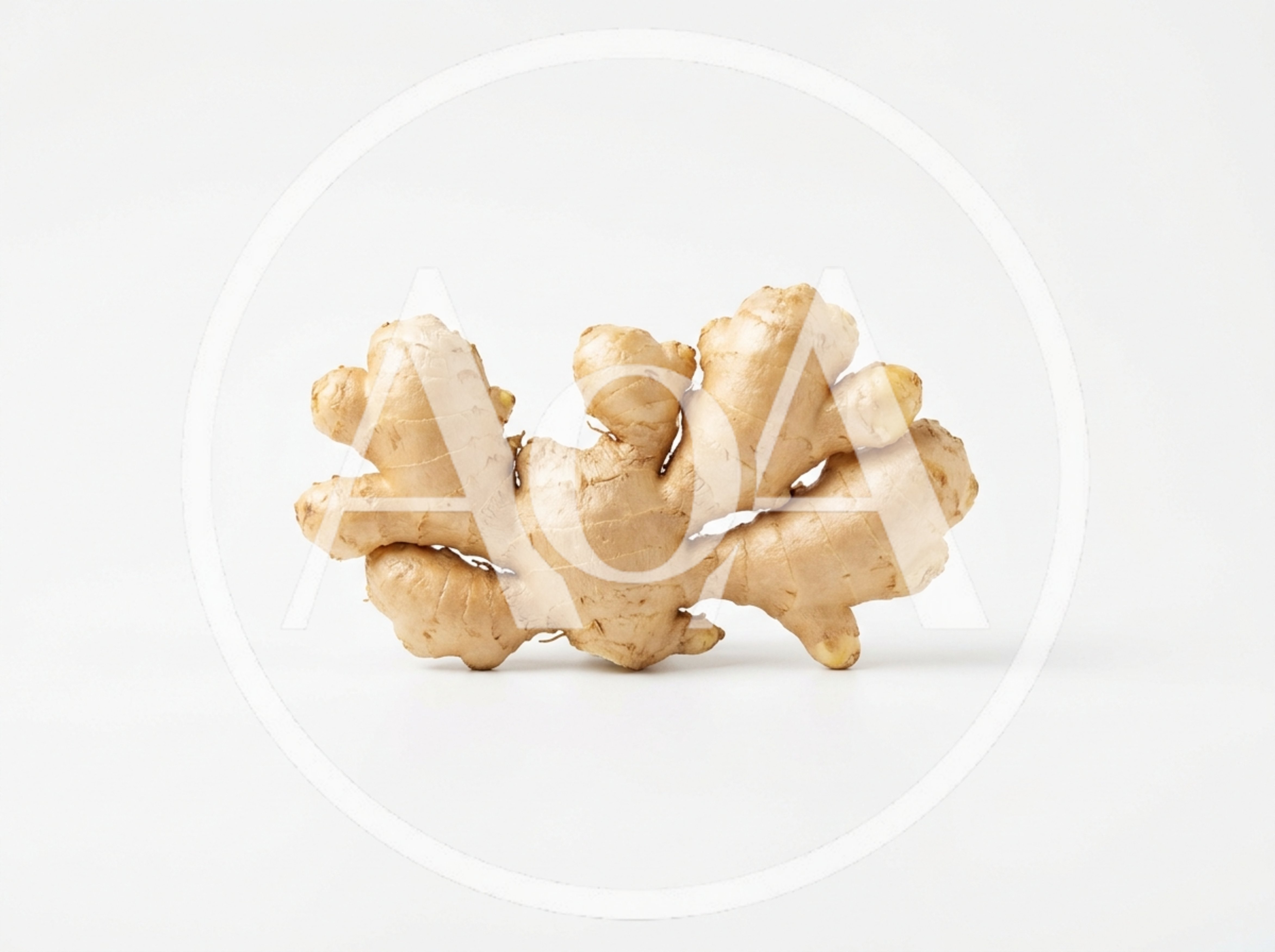 Fresh Raw Ginger Root Isolated On White Background