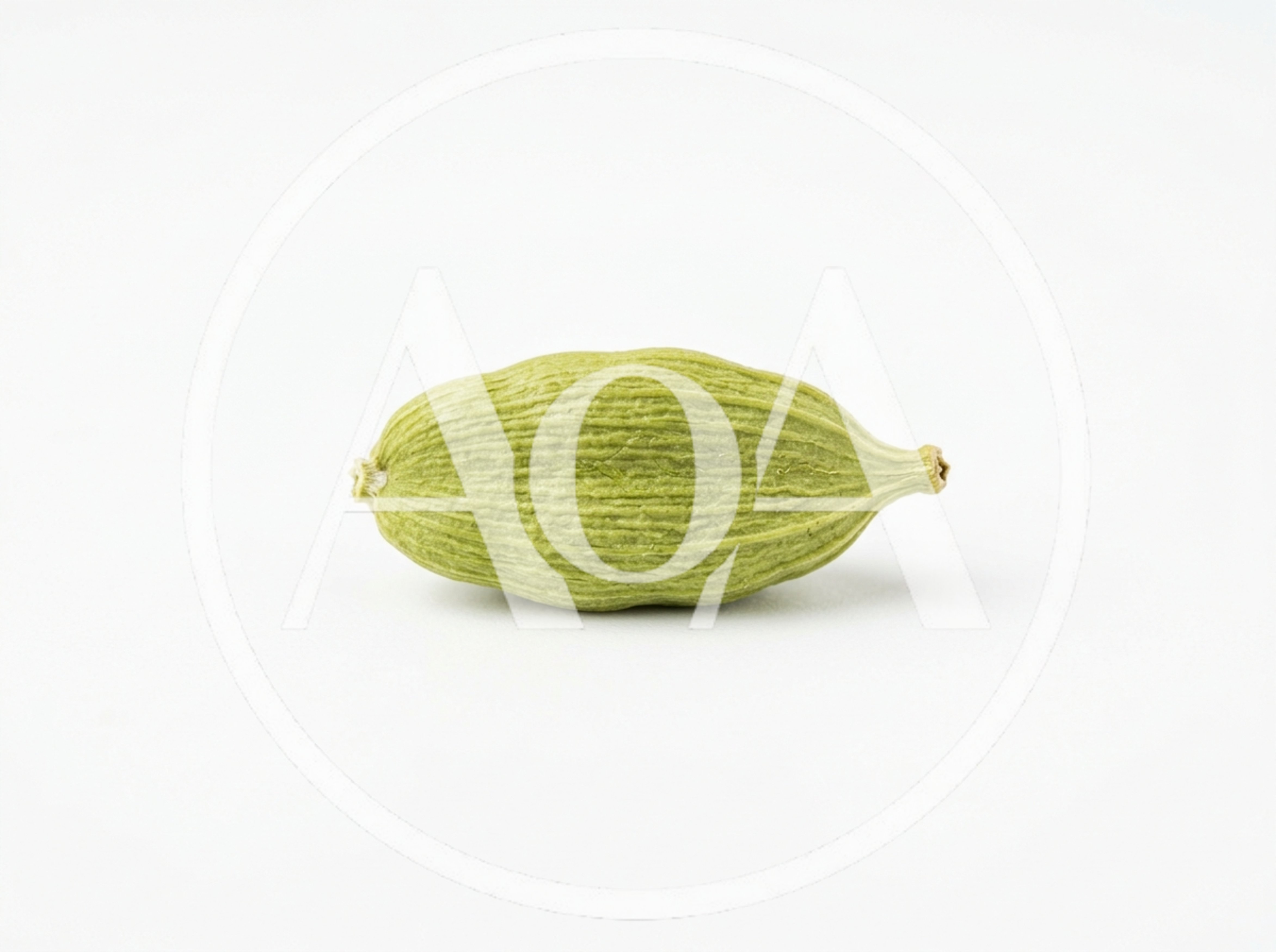 Single Green Cardamom Pod Isolated On White Background