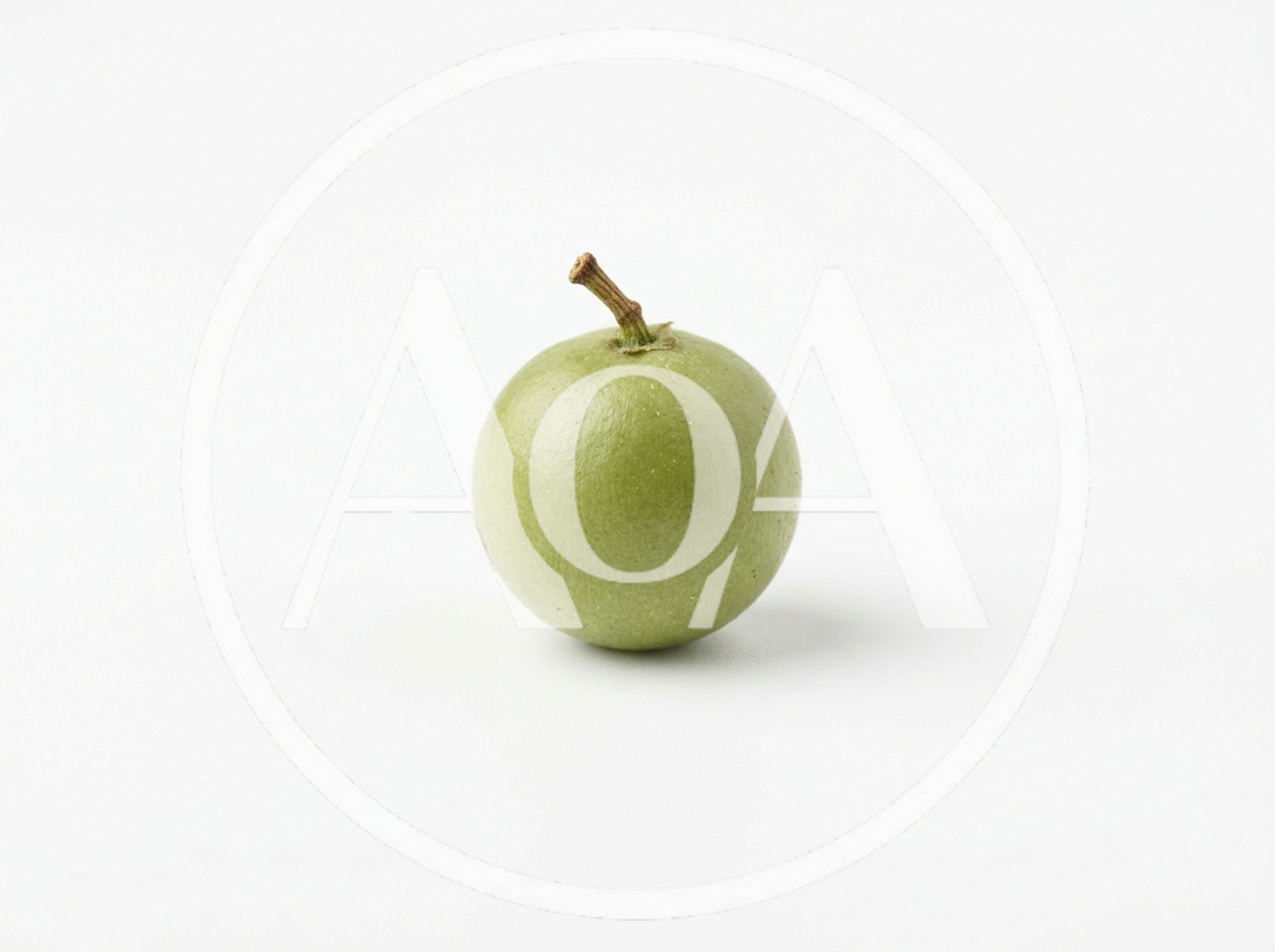 Single Fresh Green Grape On White Background