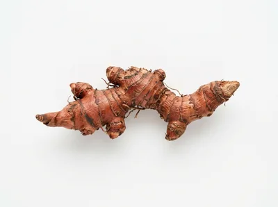 Fresh Galangal Root Isolated On White Background