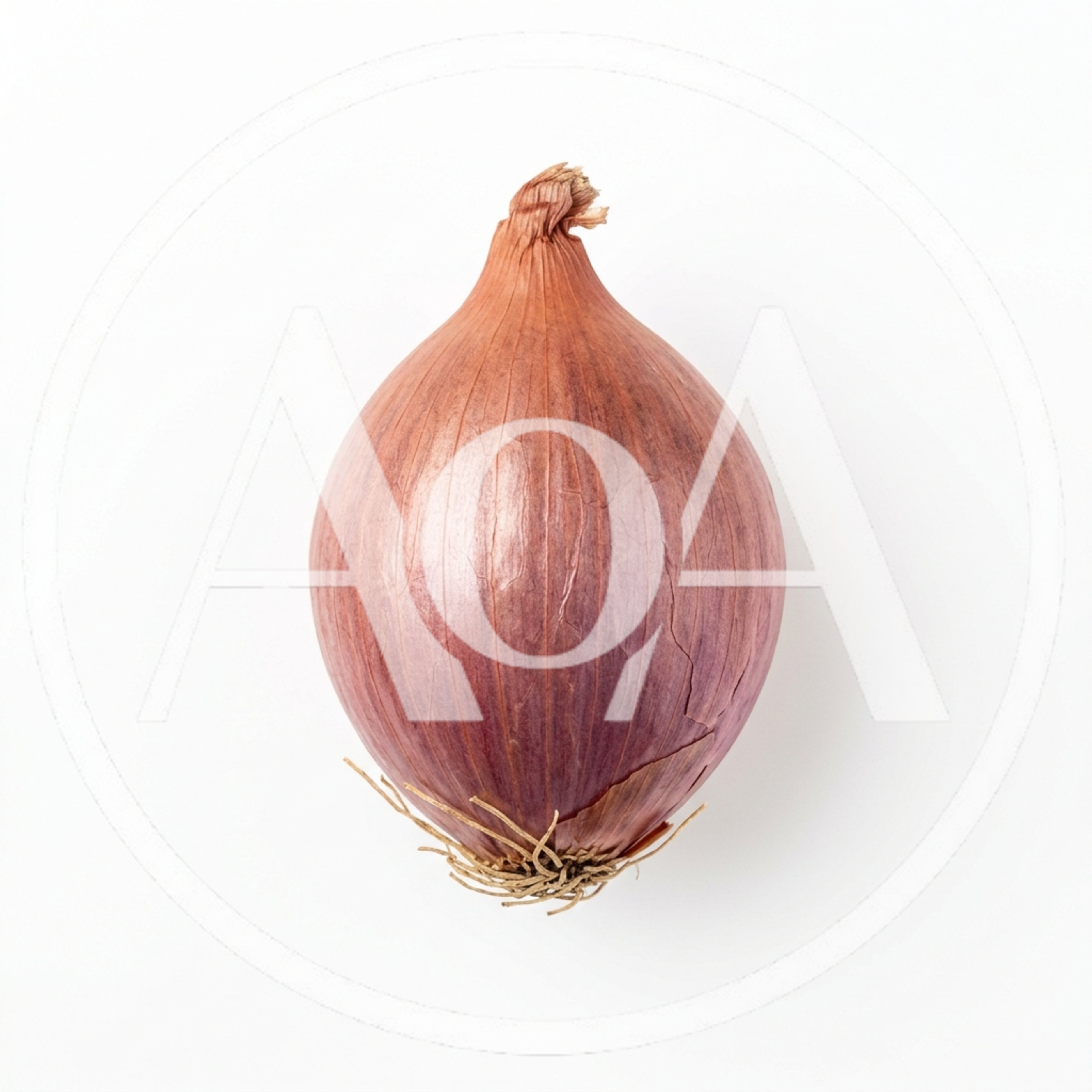 Single Red Onion Isolated On White Background