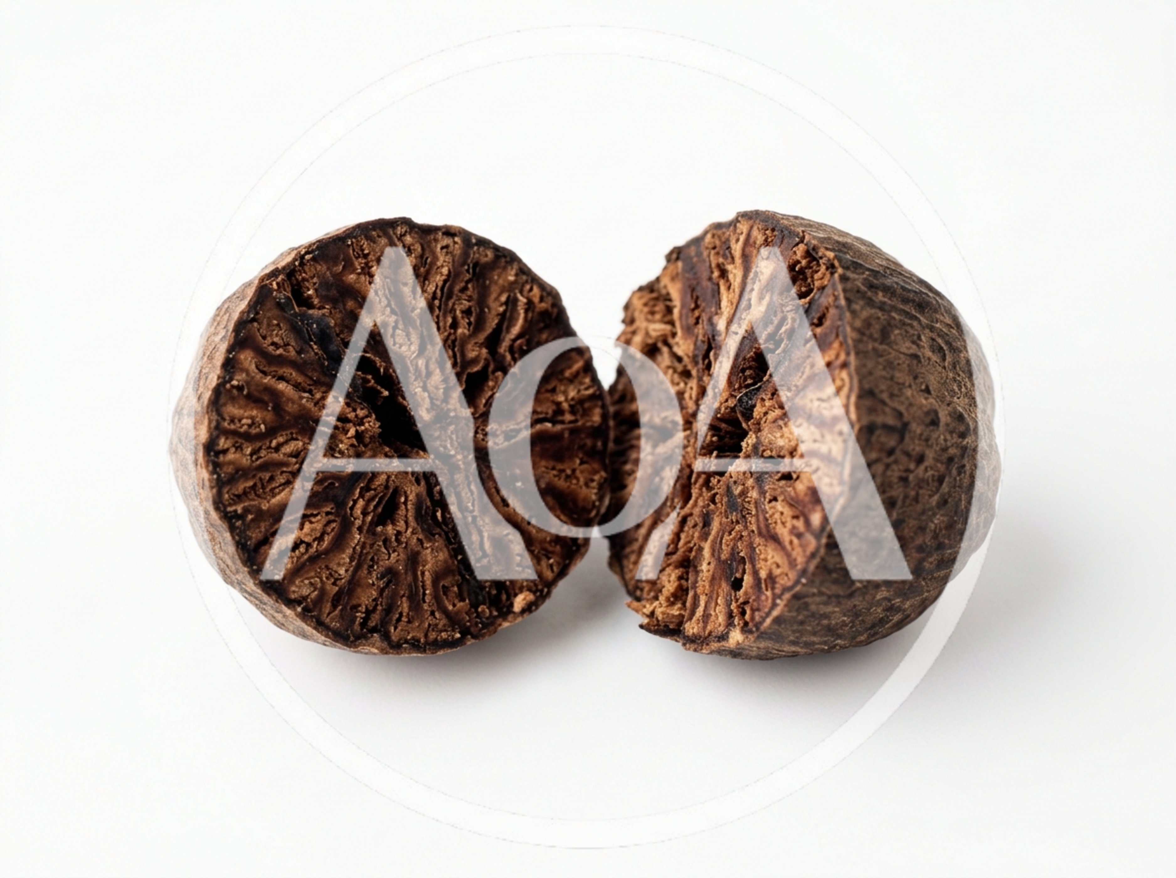 Two Halves Of A Whole Nutmeg Seed