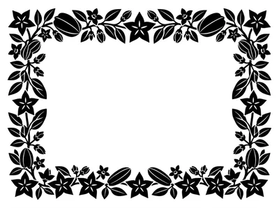 Black And White Starfruit Botanical Frame Illustration