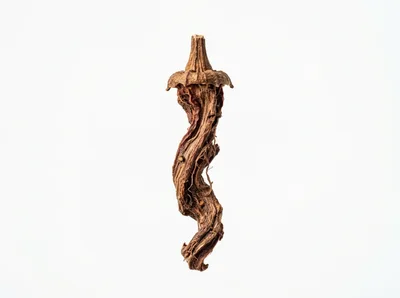 Dried Okra Pod Isolated On White Background