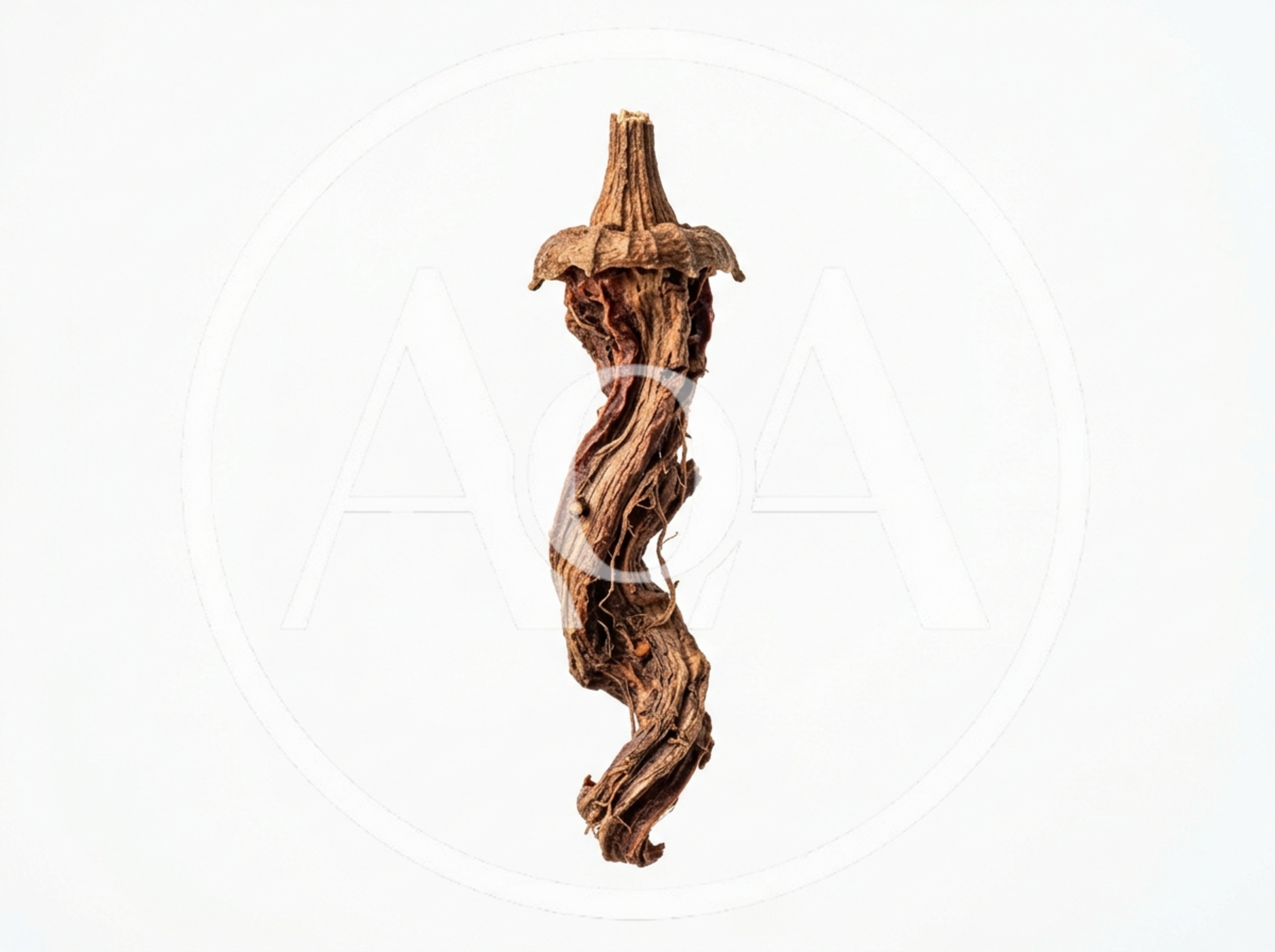 Dried Okra Pod Isolated On White Background