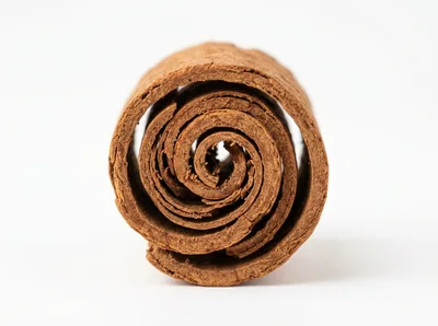 Single Cinnamon Stick Close Up