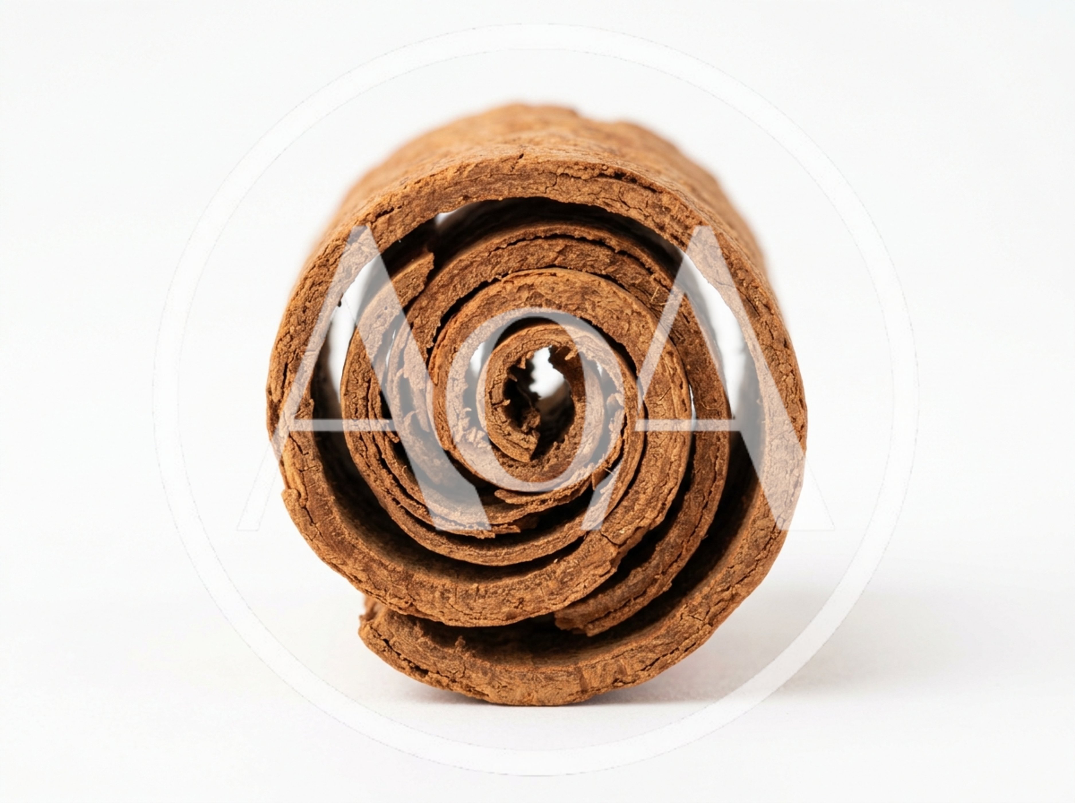 Single Cinnamon Stick Close Up